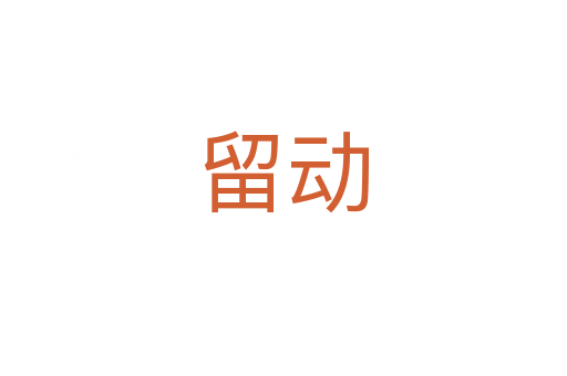 留动