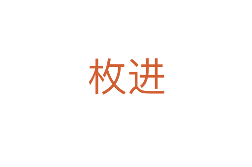 枚进