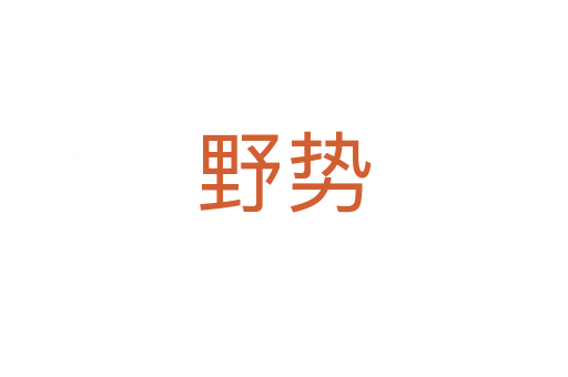 野势