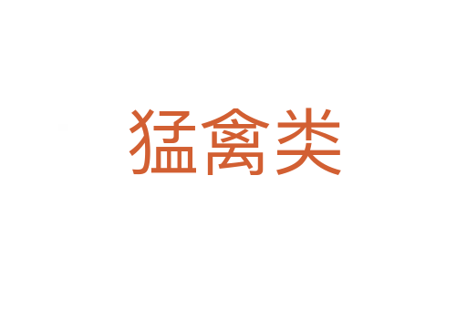 猛禽类
