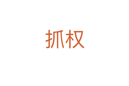 抓权