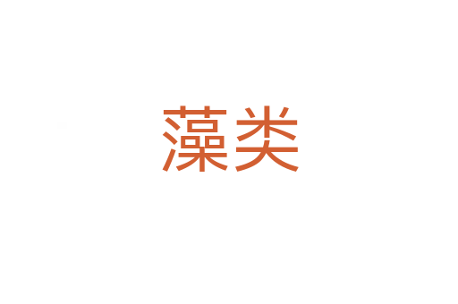 藻类