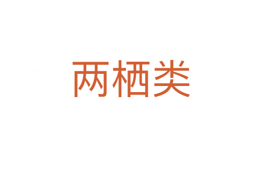 两栖类