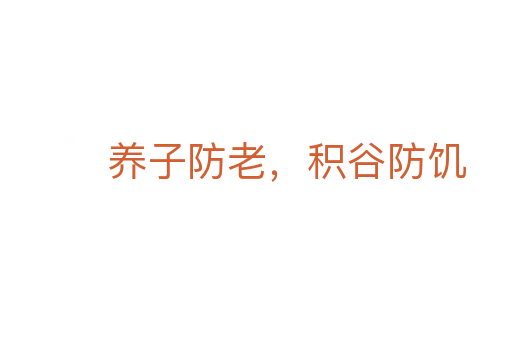 养子防老,积谷防饥