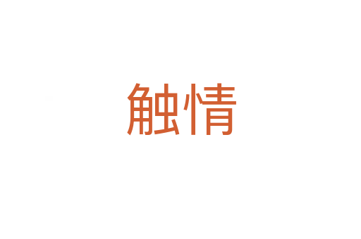 触情