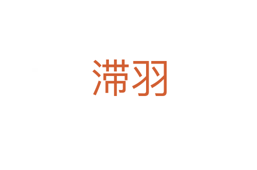 滞羽