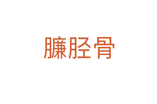 臁胫骨