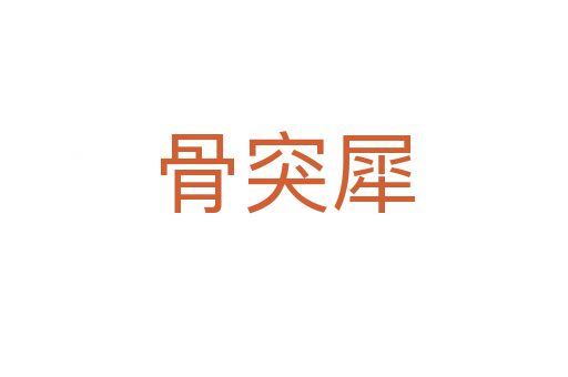 骨突犀