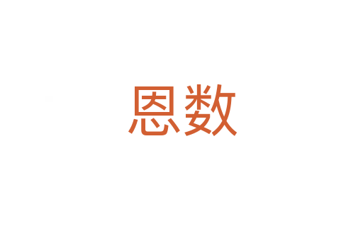 恩数