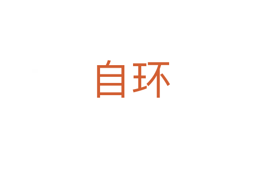 自环
