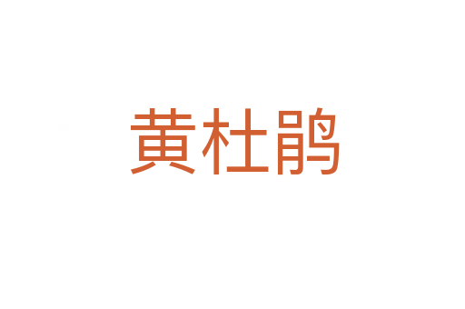 黄杜鹃