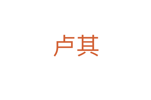 卢其
