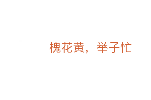 槐花黄,举子忙