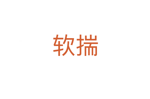 软揣