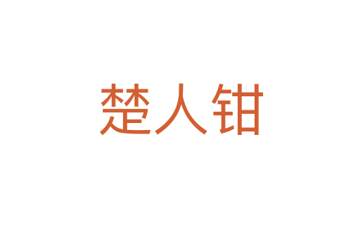 楚人钳
