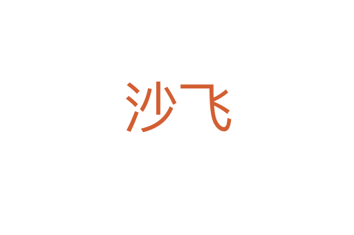 沙飞