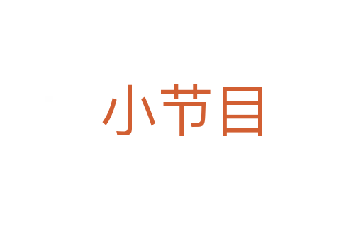 小节目