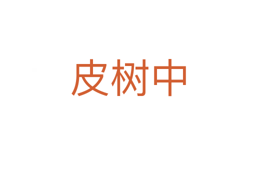 皮树中