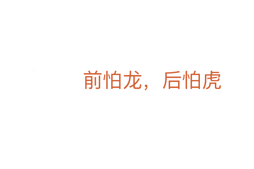 前怕龙,后怕虎