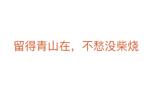 留得青山在,不愁没柴烧