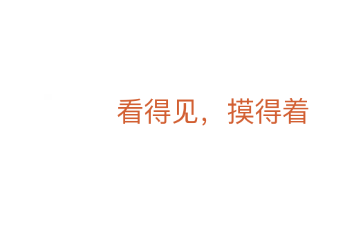 看得见,摸得着