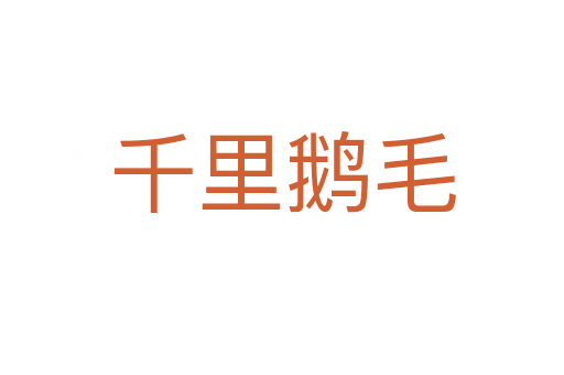 千里鹅毛