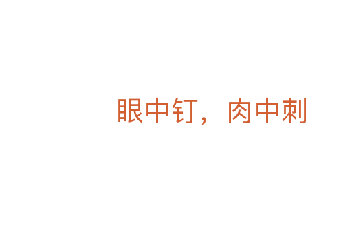 眼中钉,肉中刺